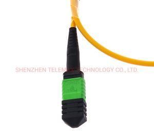 Sm/Om3/Om4 MPO Trunk Cable