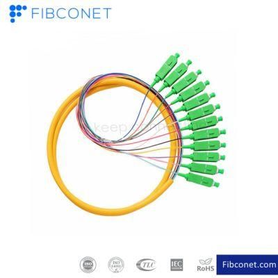 FTTH Sc APC 12core Fiber Optic Patchcord/Pigtail Multicore Bundle Distribution Pigtail