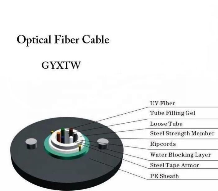 Center Loose Tube 2 to 24 Core Armoured Fiber Optic Cable GYXTW Cable