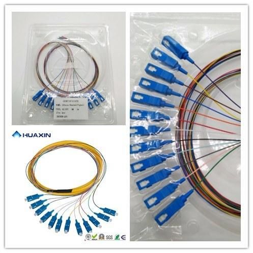 Fiber Optic 12 Bunchy Pigtail with Sc/Upc Connector Sm Manufacture/ Factory Price