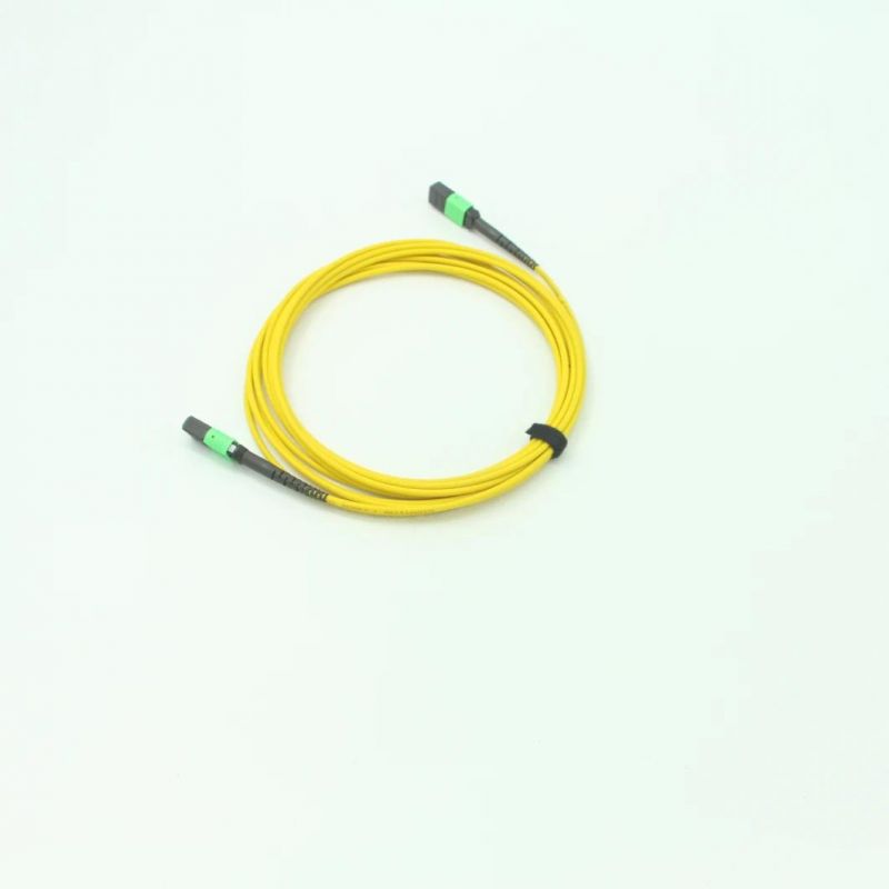 Optical Fiber MPO (female) -MPO (female) Om5 12 Core Mini Round Cable 10m