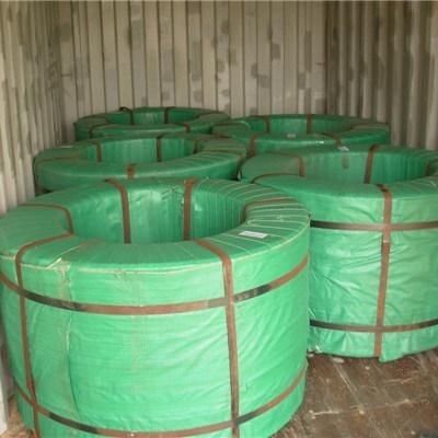 Galvanized Steel Wire/Strand