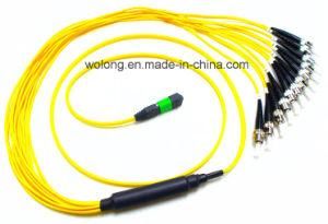 MPO-St Sm Fiber Optic Patch Cord (Fiber jumper)