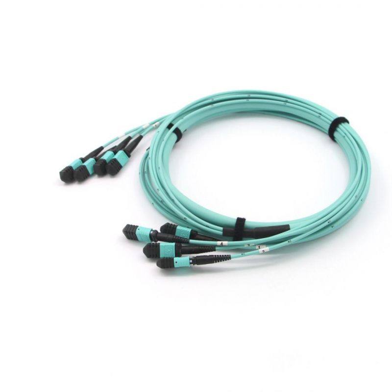 12f MPO MTP Patch Cord 10m