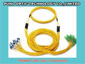 24 Strand Fiber Optic LC to LC 100 Meters Pre-terminated Cable