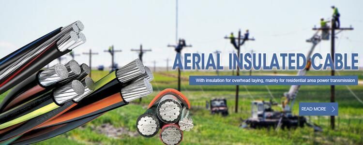 ABC Cable Twisted by 2~4 Cores Aluminum Line Used in Overhead Power Distribution Lines of Rated Voltage 600/1000V with The XLPE /PVC/HDPE Insulation