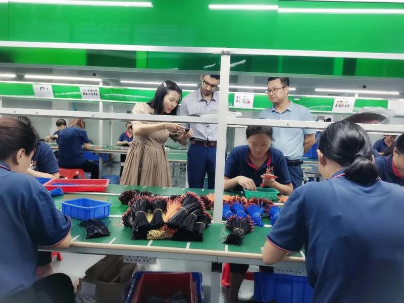 Factory Processing and Production of Color High Temperature Automotive New Energy Wiring Harness Various Models of Customized Terminal Wire Connection Harness
