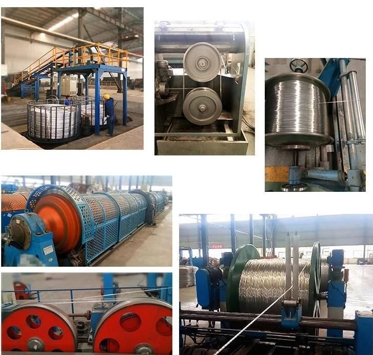 High Quality ACSR Conductor Aluminum Conductor Steel Reinforced
