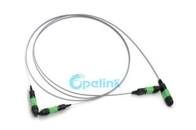 MPO/APC-MPO/APC Ribbon Fiber Optic Patch Cord