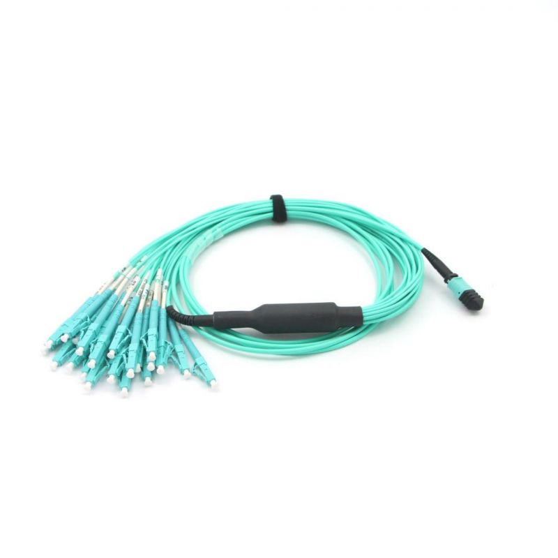 MPO (female) -LC 24 Fiber Optical Jumper Om3 with 5 Meters
