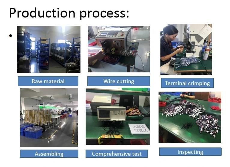 China Factory Made Power Charger Cable Assembly Wire Harness with Fuse and Original Connector for Vehicle Automobile Parts