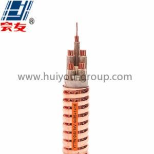 Btly/ Yttw/ Rttz 0.6/1kv and Below Mineral Insulated Fire Resistant Power Cable