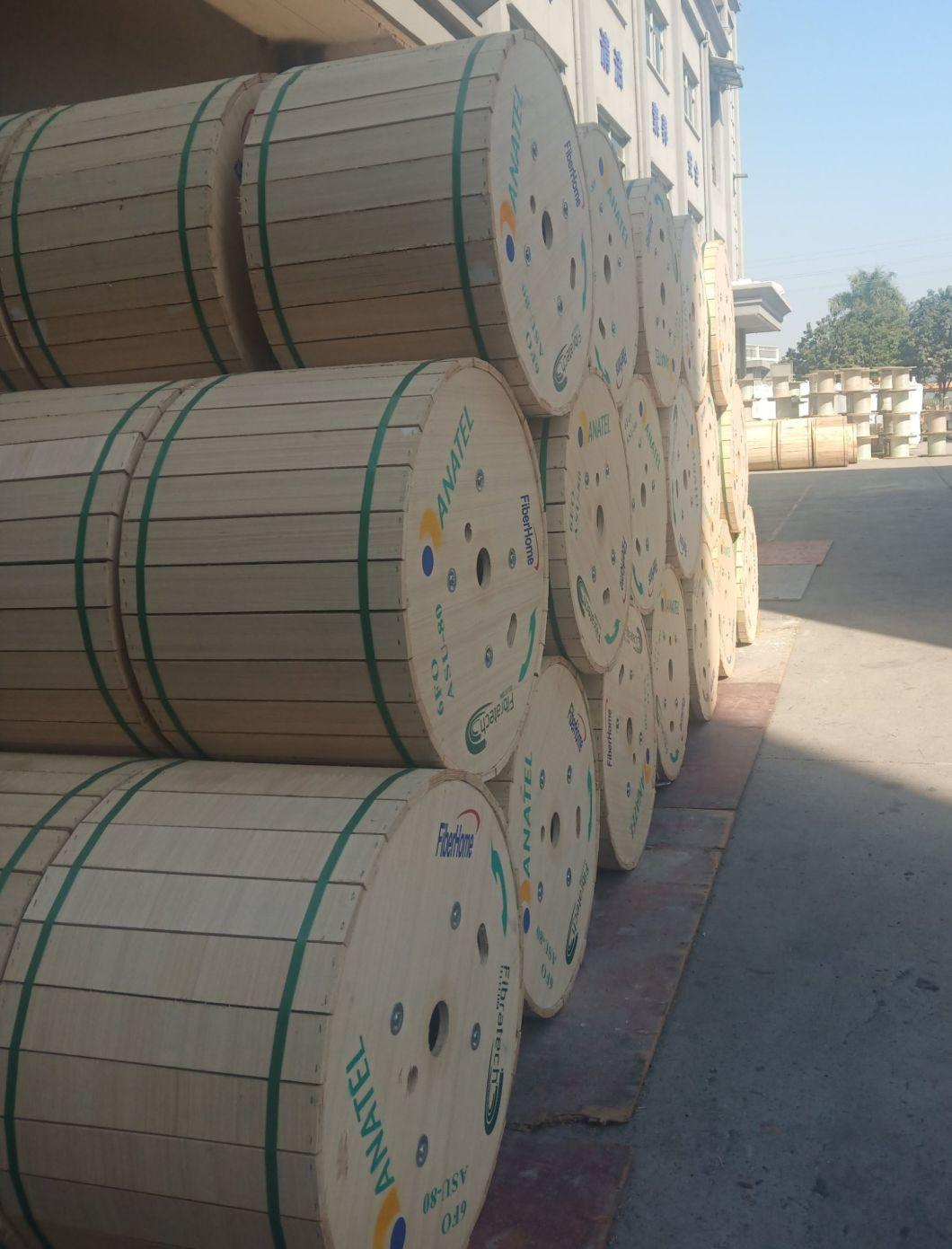 12/48 Core Factory GYTA53 Optic Fiber Cable