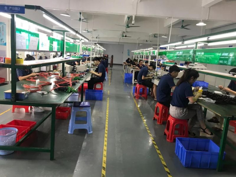 China Factory Made Power Charger Cable Assembly Wire Harness with Fuse and Original Connector for Vehicle Automobile Parts