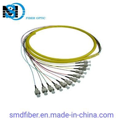Sm FTTH FC/Upc12 Core Fiber Optic Pigtail