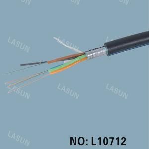 Outdoor Fiber Optic Cable (L10712) /Patch Cable