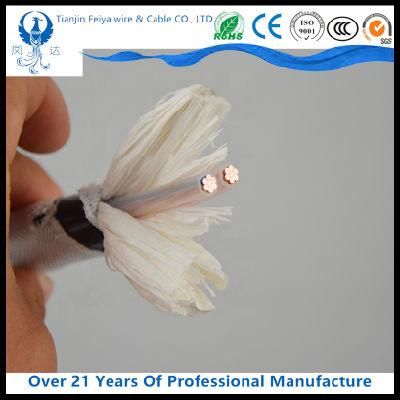 XLPE Copper Insulated Power Overhead Electrical/Electric Wire Cable