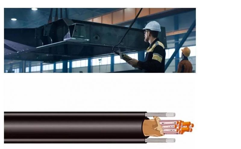 S05vvd7-F Round Cable with Dual Strain Relief Steel Wires Round Pendant Cable