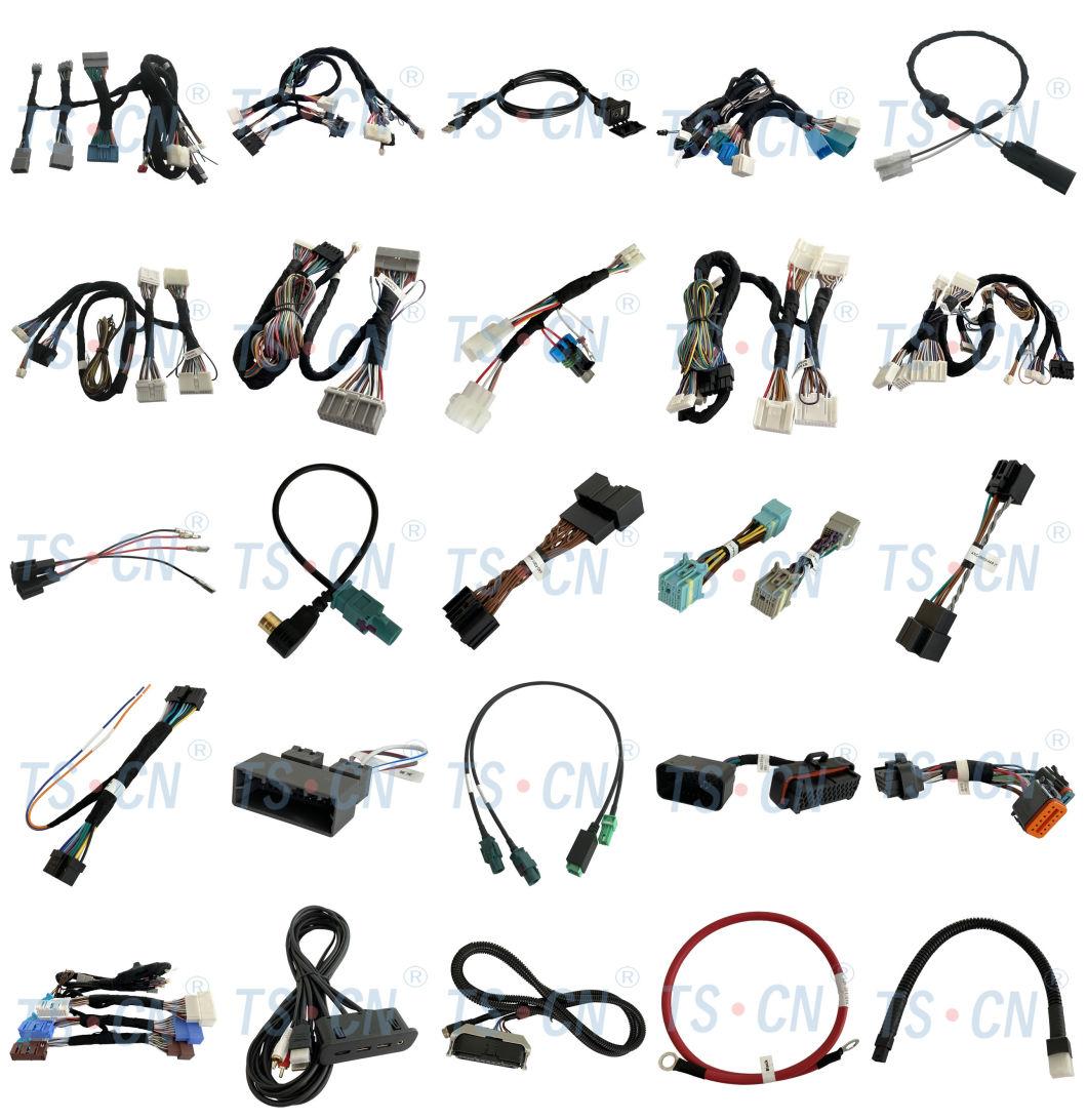 Tscn Electrical Automobile Wire Harness