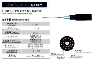 2-12 Core Center Beam Tubes Fill Steel Wire Armored Mounted Fiber Optic Cable