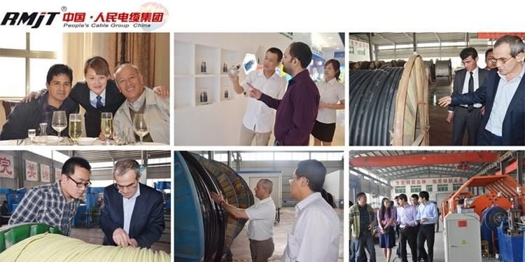 Electric Bare Conductor Aluminium Clad Steel Wire Stranded Acs