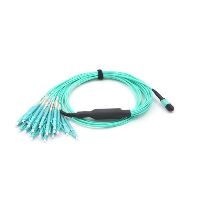 MPO (F) -LC Om3 24 Fiber Optical Jumper