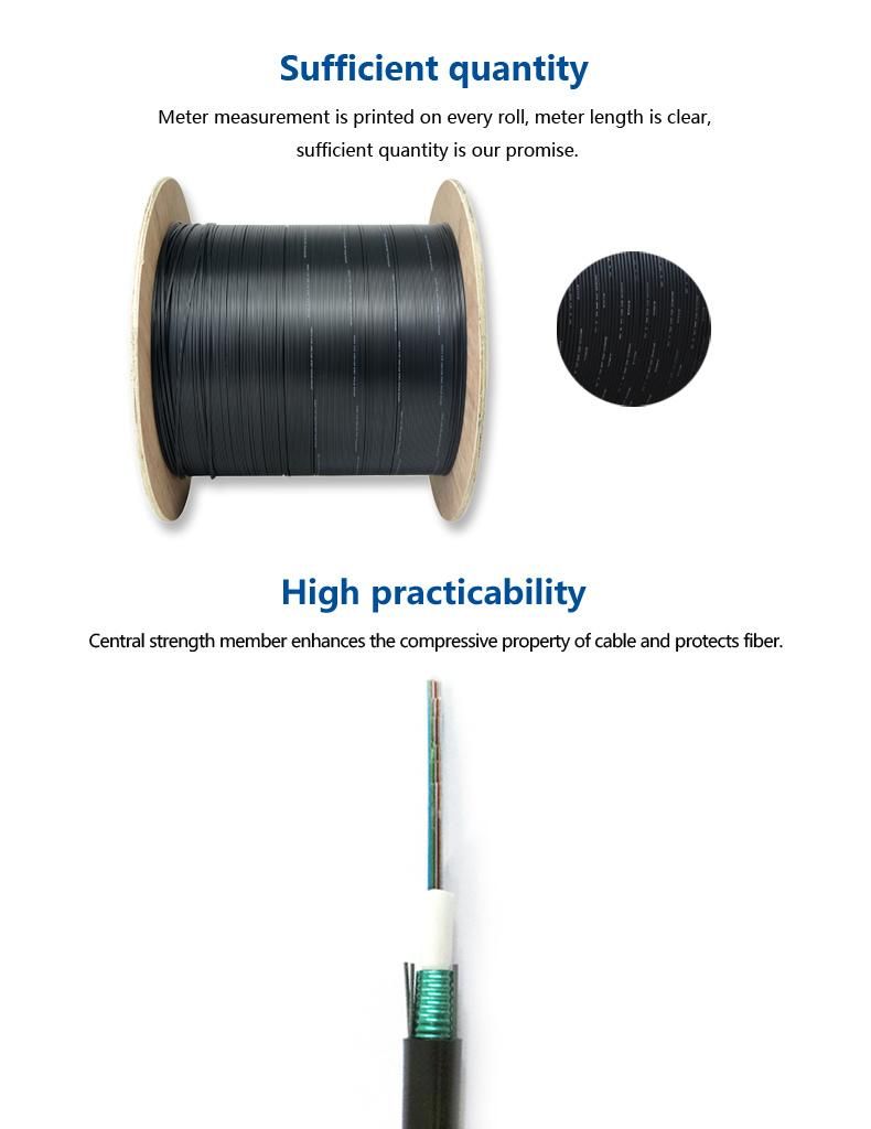 240 Core Duct Fiber Ribbon Cable with Best Price Gydxtw