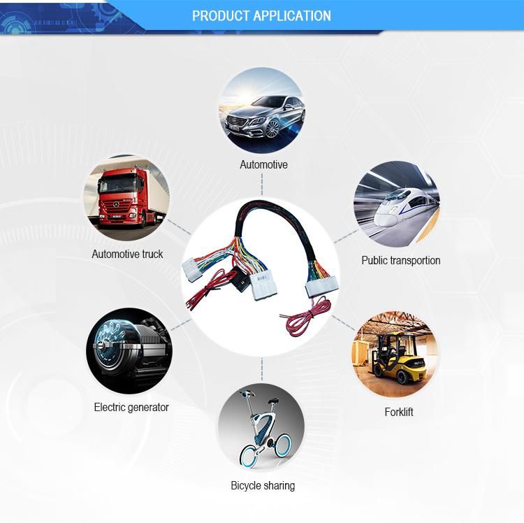 Tyco Male to Female Custom Wiring Harness 10pin