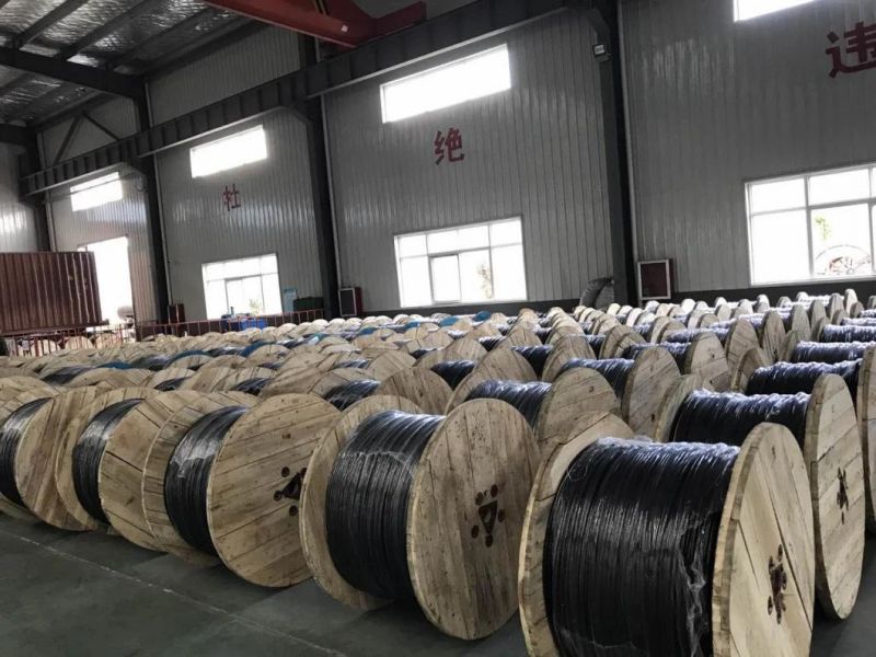 Hta Cis 12/20kv 24kv Voltage Cable 3*240mm2 3*120mm2