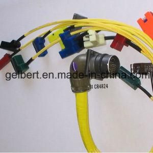 China Professional Wire Harness and Cable Assembly