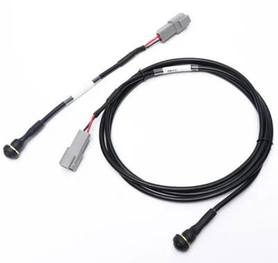 Customized High Temperature Injection Molding Lighting New Energy LCD Panel Custom Wire Harness
