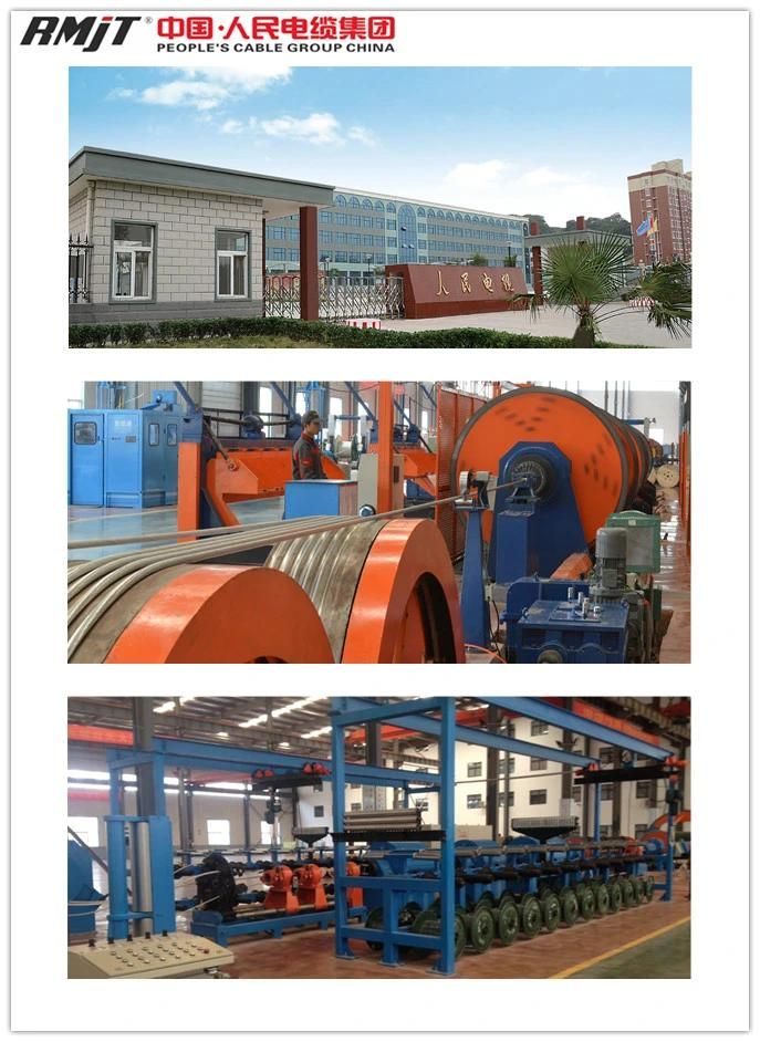 Bare Aluminum Conductor AAC Conductor for ASTM B231, IEC61089, BS 215.