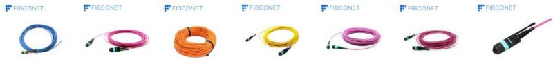 12/24f MTP (Female) Trunk Cable 3.0mm LSZH Patch Cable