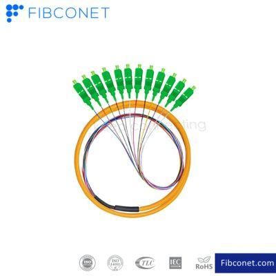 FTTH Patchcord Sc/FC/LC/E2000 12 Core Fiber Optical Pigtail Patch Cord