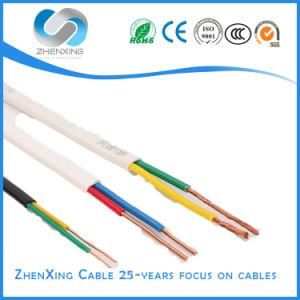 300/500V Two or Three Core PVC Insulated and Sheathed Flat Electric Wire Cable