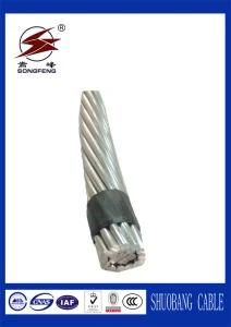 0.6/1 Kv Bare AAAC Overhead Conductor/All Aluminum Alloy Conductor