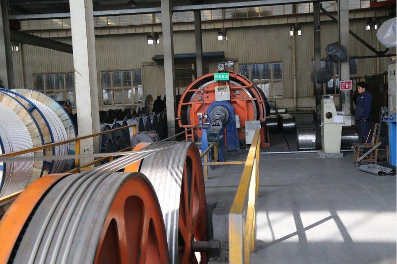 Aluminum Clad Steel Conductor-Acs
