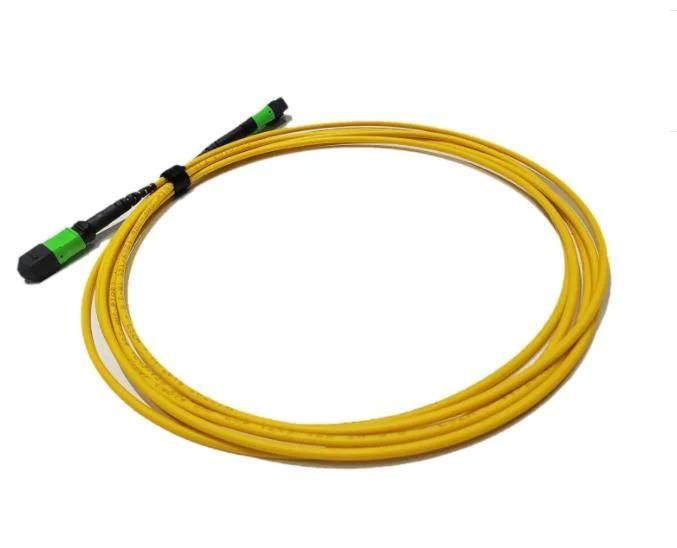 MTP Pigtail Sc Patch Cord Dys 12 Fiber Optical Communication Cables OEM Factory Testing Kit Ribbon MTP MPO Sc LC Patch Cord Pigtail 12 Cores FTTH FTTX Solution