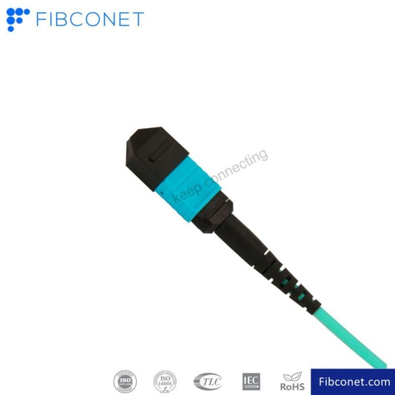 FTTH Patch Cord Sm mm Duplex/Simplex Fiber Optic Patch Cord Sc-LC Sc-FC Patch Cord