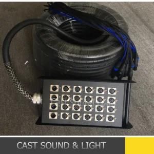 Custom 24 Channel XLR Audio Snake Cable with Stage Box
