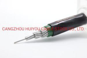 Zcyjly LV IEC Certificated Power Cable