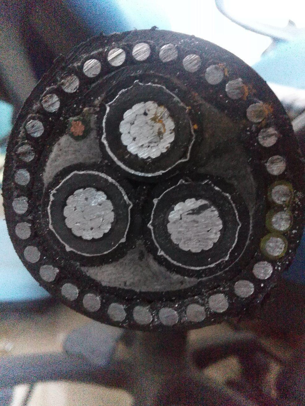 Submarine Cable 5kv 15kv 35kv