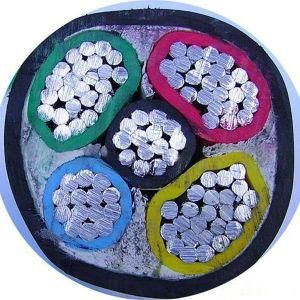 Hot Sales PVC Insulated Power Cable 4+1 Core