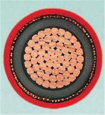 12/20kv (24KV) XLPE Power Cable N2xsy/Na2xsy Na2xs (F) 2y Cable 1X35mm2 / 1X50mm2