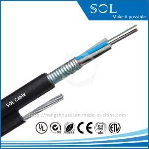 Outdoor Figure-8 PSP Armor Fiber Optic Cable (GYTC8S)