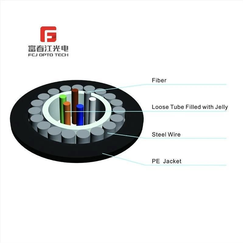 Factory Production 2core 12core 24core Unitube Add Steel Wire PE Outersheath GYXTY Cable