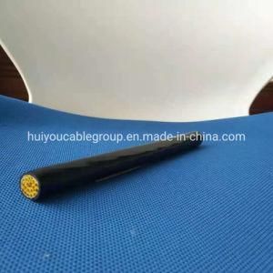 Electric Wire XLPE/Cu/PVC Sheath Control Cable