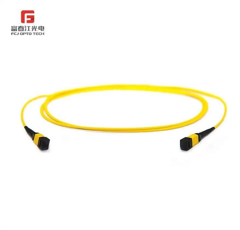 Customized MTP MPO Optical Patch Cord/ Jumper