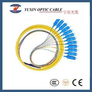 12 Core Fan out Sm Scupc Sc/Upc 0.9mm Pigtail Patch Cord Patch LED