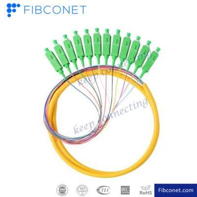 FTTH Single Mode 4 6 8 12 24 48 96 Core Distribution Sc/APC Fan-out Bundle Fiber Optic Pigtail